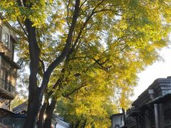 -后海16号·北京私房菜