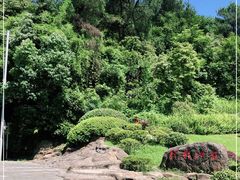 -铁山坪森林公园