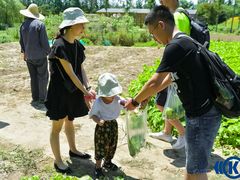 -前小桔亲子创意农场·草莓采摘·露营烧烤