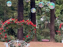 -人民公园(罗湖区)