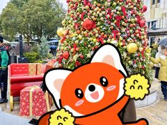 -比斯特上海购物村精品奥特莱斯
