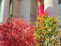 -西北轻工批发市场