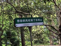-东明山森林公园