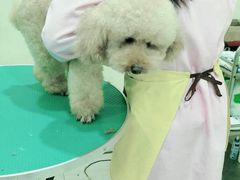 -佳雯宠物医院(四明中路分院)