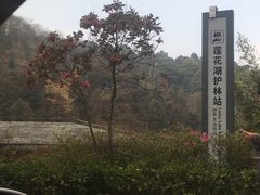 -广州市石门国家森林公园