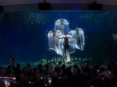 -合肥海洋世界