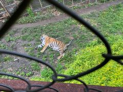 -吉野家(红博中央公园店)