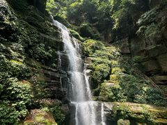 -碧峰峡风景区