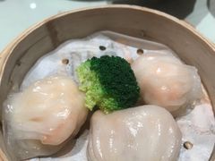 -南枝记