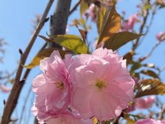 -长白岛森林公园