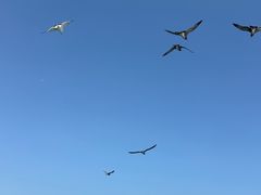 -海驴岛(荣成市)