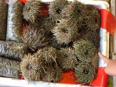 -芦潮港集贸市场