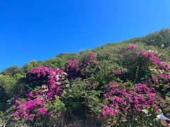 -三亚西岛海洋文化旅游区