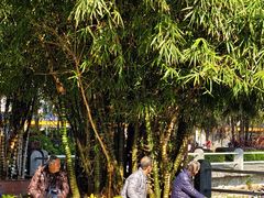-金砂公园