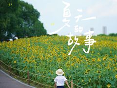 -苏州湾体育公园