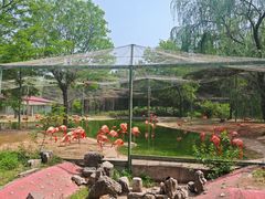 -石家庄市动物园