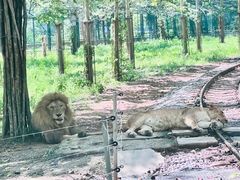 -秦皇岛野生动物园