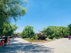 -长春市南湖公园