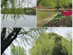 -上海鲜花港
