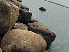 -苏州东太湖生态园