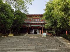-灵谷景区