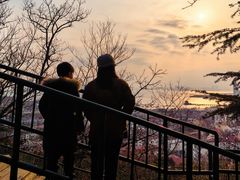 -青岛海滨风景区