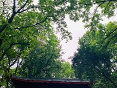 -岳麓山风景名胜区