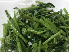 空心菜-做了不起的80后