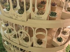 -上海月星家居(澳门路店)