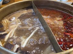 -春记潮汕牛肉火锅