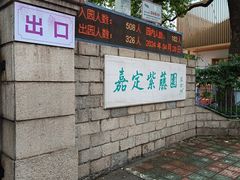 -嘉定紫藤园