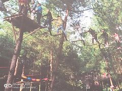 -梦幻奥陶纪景区