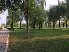 -洨河生态公园