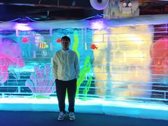 -海合安武汉极地海洋公园