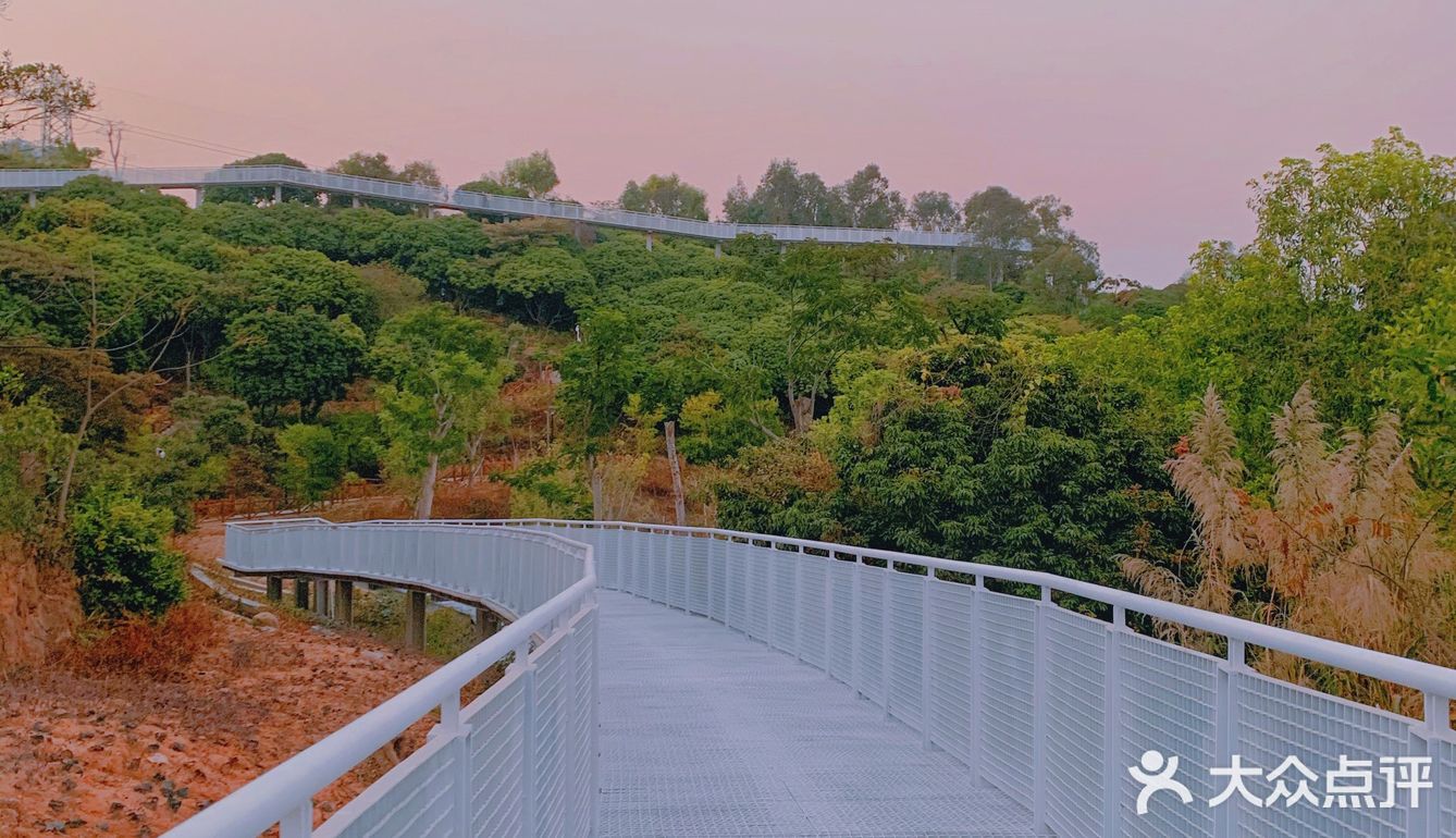 深圳网红桥～白桥