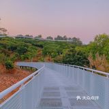 深圳网红桥～白桥