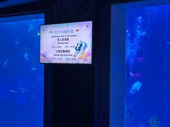 -太平洋海底世界