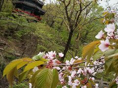 -丹东凤凰山景区