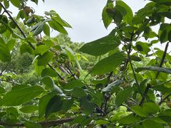 -蠡湖大桥公园