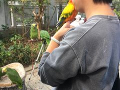 -园圃街雀鸟花园
