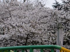 -杭州少年儿童公园