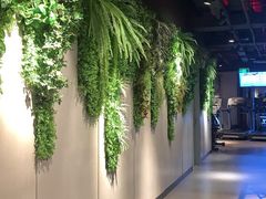 -威尔仕健身(海伦中心店)