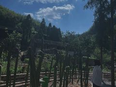 -泽雅景区