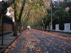 -花马天堂云南餐厅 Lost Heaven(外滩店)