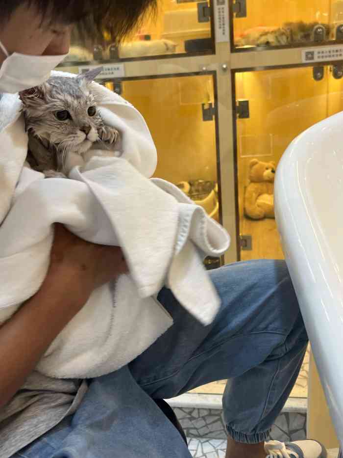 babydoll宠物生活馆·猫舍(尚嘉中心店)-"【项目】其他从来没有注意到