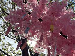 -莹珠阁·私房菜