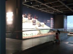 -盘龙城遗址博物院