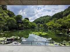 -云溪植物园
