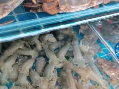 -宾朋海鲜特色美食餐厅·纯手工鲅鱼水饺(兴海路店)