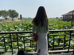 -军山湖云水间水上餐厅(进贤店)